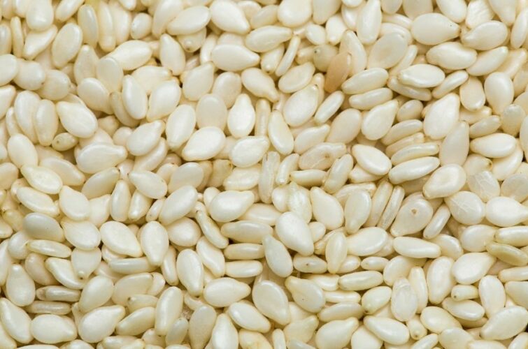 Natural Sesame Seeds - Green Asia Commodities